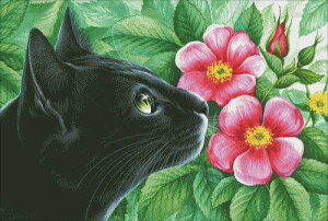 } Heaven And Earth Designs NXXeb`hJ HAED A ㋉ Irina Garmashova Cko Dog Rose Sʎh