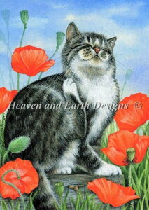 NXXeb`} `[g HAED | ㋉ yiCXEfCz Mini Nice Day