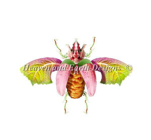 NXXeb`hJ } Heaven And Earth Designs HAED A ㋉ Michel Tcherevkoff / Quasimodo Sʎh