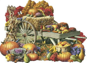 HAED Heaven And Earth Designs NXXeb`hJ } A ㋉ Alan Giana H̎n Fall Harvest