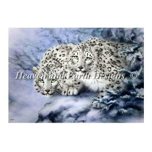 �N���X�X�e�b�`�h�J �}�� Heaven And Earth Designs HAED �㋉�� Kayomi Harai �Ⴂ�T���� Young Explorers �S�ʎh��