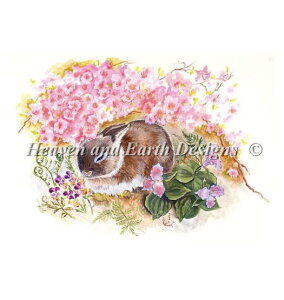 NXXeb`hJ } Heaven And Earth Designs HAED A ㋉ Judy Mastrangelo ȓA A Small Shady Spot