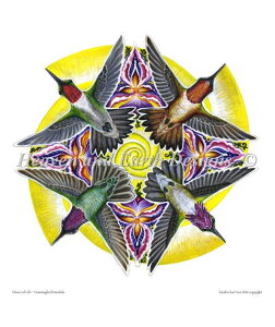 Heaven And Earth Designs �N���X�X�e�b�`�h�J�}�� �A�� HAED �㋉�� Sandra SanTara �n�`�h���̙�䶗� Hummingbird Mandala