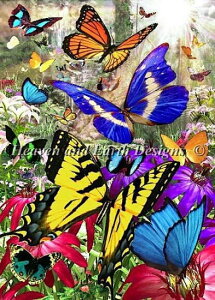 Heaven And Earth Designs NXXeb`hJ} A HAED ㋉ David Penfound 썑̒ Tropical Butterfly Sʎh