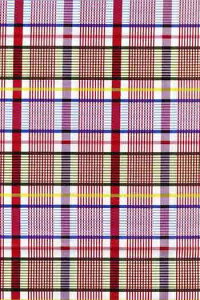 SajouiTW[j Rbgn 45x65cm yCOUPON TISSU COQUECIGRUES COORDONN N° 2z Jbgς pb`[N tX T_SAJ_C_050_075_PER_01C y\z