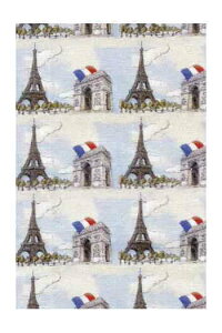 TW[iSajouj Rbgn 45x65cm yCOUPON TISSU PARIS COORDONN N° 1z Jbgς pb`[N tX T_SAJ_C_050_075_PER_03B y\z