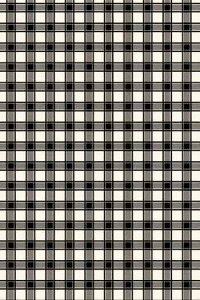 SAJOUiTW[j Ȑn 45x65cm ͂ yCOUPON TISSU TRAVAUX DE LA MANUFACTURE NOIR COORDONN 2z tX T_SAJ_C_050_075_PER_11C y\z