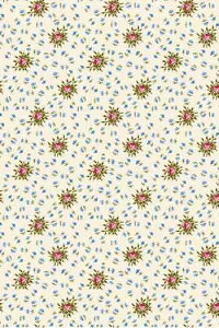 SajouiTW[j PVCHn 45x65cm yCOUPON DE TISSU ENDUIT CHAMBRE REINE TRIANONz Jbgς |rj[R[eBO tX T_SAJ_C_050_075_END_18A y\z