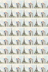 TW[iMaison Sajouj rj[R[eBOHn 45x65cm yCOUPON DE TISSU ENDUIT PARIS 1z Jbgς z PVC | tX T_SAJ_C_050_075_END_03By\z