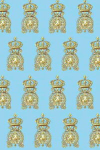 TW[iSAJOUj rj[R[eBOHn 45x65cm yCOUPON DE TISSU ENDUIT VERSAILLES 1z Jbgς z PVC | tX T_SAJ_C_050_075_END_08By\z