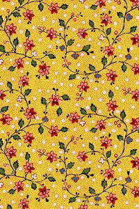 SajouiTW[j vgn 45x65cm ͂ y Tissu coton en coupon Coromandel jaune z Jbgς tX T_SAJ_C_050_075_PER_36Ay\z