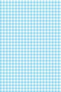 Sajou�i�T�W���[�j �v�����g���n 45x65cm �͂��� �y Tissu coton en coupon Vichy ciel et blanc �z �J�b�g�ς� �t�����X T_MAR_C_050_075_PER_05A�y�\��z