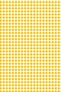 Maison Sajou �i �T�W���[ �j �G�R�e�b�N�X OEKO-TEX �A�����n ���� �R�b�g�� 140cm x 90 cm �y Tissu coton au metre Vichy jaune et blanc �z �p�b�`���[�N �J���g�i�[�W�� ���� �t�����X�� T_MAR_M_150_PER_02A �y�\��