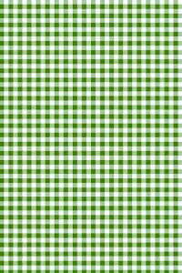 Maison Sajou �i �T�W���[ �j �G�R�e�b�N�X OEKO-TEX �A�����n ���� �R�b�g�� 140cm x 90 cm �y Fabric by the metre green and white gingham �z �p�b�`���[�N �J���g�i�[�W�� ���� �t�����X�� T_MAR_M_150_PER_06A �y�\
