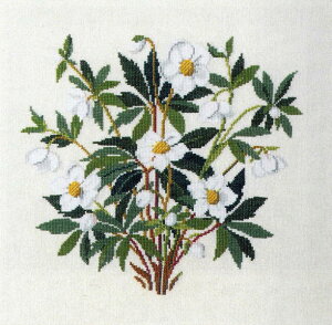 t NXXeb`hJLbg yw{XEjQz A f}[N k ㋉ 30-3888