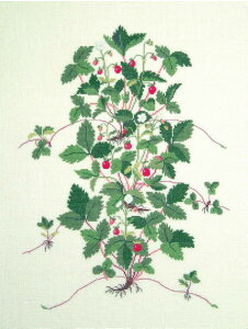 t NXXeb`hJLbg y X z A f}[N k ㋉ Q_ExOg\ 30-6821