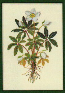 t NXXeb` hJ Lbg y w{XEjQ z Haandarbejdets Fremme f}[N k ㋉ A 30-4244