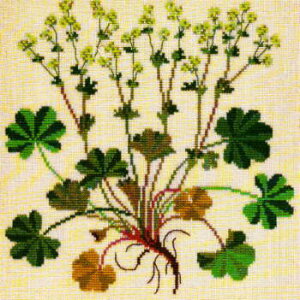 yDM֑Ήzt Lvefod nSOT 12B NXXeb` Haandarbejdets Fremme Lbg f}[N k hイ Mh GB 30-4849