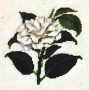 NXXeb`hJLbg tiHaandarbejdets Fremmej y/Ao}Bz f}[N k A ㋉ Q_xOg\ 30-2970,09