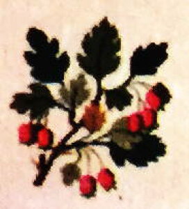 tiHaandarbejdets Fremmej NXXeb` hJLbg |yTUV/~Y[Bz f}[N k A ㋉ 30-2970,19