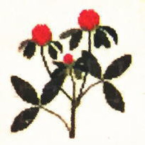 yDM֑Ήzt Red clover,Vermont TLcNT/o[gB 12B NXXeb` Haandarbejdets Fremme Lbg hイ f}[N Mh k GB 30-2970,36