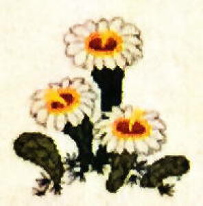 t NXXeb`hJLbg A Saguaro,Arizona xPC`E(T)/A]iB Haandarbejdets Fremme hイ f}[N k 12B GB ㋉ 30-2970,40