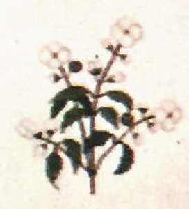 tiHaandarbejdets Fremmej NXXeb`hイLbg |yCbN/AC_zBz f}[N Mh k A ㋉  30-2970,43