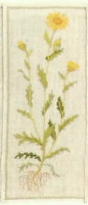 yDM֑Ήzt Gul okseje AQVMN 12B NXXeb` Haandarbejdets Fremme Lbg f}[N k hイ Mh 14-4515,07