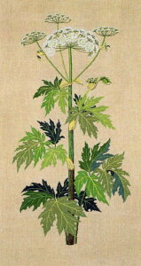  t NXXeb` Lbg hイ y niEh z Haandarbejdets Fremme A f}[N k ㋉ CO 30-3260,01