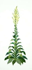 Haandarbejdets Fremme t NXXeb` hJ Lbg y IsbNEYCJ z f}[N Mh k A ㋉ Gerda Bengtsson 30-3780,01