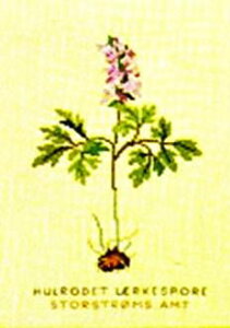 yDM֑Ήzt Hulrodet lrkespore(F) I_GSTN 10B NXXeb` Haandarbejdets Fremme Lbg hイ f}[N Mh k GB 30-4551,06