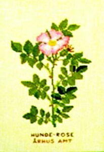 yDM֑Ήzt Hunderose(G) Cko 10B NXXeb` Haandarbejdets Fremme Lbg hイ f}[N Mh k GB 30-4551,07