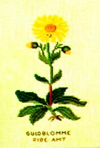 yDM֑Ήzt Guldblomme(D) ETMMN 10B NXXeb` Haandarbejdets Fremme Lbg hイ f}[N Mh k GB 30-4551,04