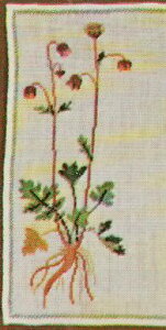 yDM֑Ήzt Eng nellikerod QEEo 12B NXXeb` Haandarbejdets Fremme Lbg f}[N k hイ Mh 14-4515,05