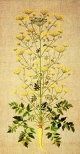  Haandarbejdets Fremmei t jNXXeb` hJ Lbg y Pastinak - p[Xjbv - z H| Mh f}[N k A ㋉ 30-5103