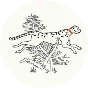 Le Bonheur des Dames�i���{�k�[���f�_���j �h���イ�L�b�g �y �`�[�^�[ - La Course Du Gu?pard Imprim? - �z �t�����X �A�� �㋉�� 1550