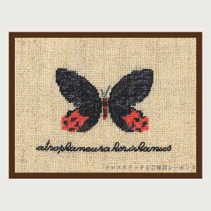 �v�`�|�����h�J�L�b�g ���{�k�[���f�_�� Le Bonheur des Dames �h���イ Miniature papillon rouge et noir atrophaneura horishamus �� �t�����X �㋉�� 3625
