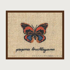 �v�`�|�����h�J�L�b�g ���{�k�[���f�_�� Le Bonheur des Dames �h���イ Miniature papillon prepona buckleyana �� �t�����X �㋉�� 3629