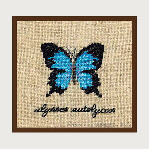 �v�`�|�����h�J�L�b�g ���{�k�[���f�_�� Le Bonheur des Dames �h���イ Miniature papillon bleu ulysses autolycus �� �t�����X �㋉�� 3628