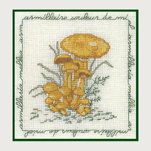 NXXeb`hJLbg A {k[f_ Le Bonheur des Dames hイ Armillaire couleur de miel i^P tX ㋉ 1685