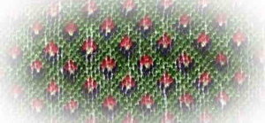 Reflets de Soie�i���t���E�h�D�E�\���j �h���イ�`���[�g �}�� �yPetit Bonheur n°24�z �t�����X PB24