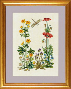 EVA ROSENSTAND iLXƃPV Ranunkel og valmue NXXeb` Lbg f}[N k hイ 12-253