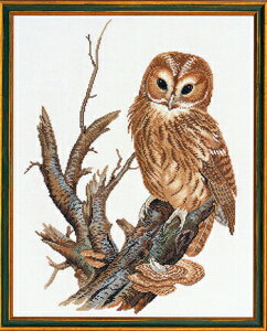 EVA ROSENSTAND tNE Natugle NXXeb` Lbg f}[N k hイ CO A ㋉ 92-677