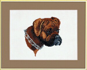 EVA ROSENSTAND y {NT[ z NXXeb` Lbg f}[N k hイ CO A  S 12-682