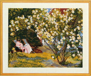 EVA ROSENSTAND NXXeb`hJLbg [YubV Rosenbusk f}[N k Sʎh A ㋉ 12-737