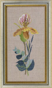 EVA ROSENSTAND F Gul orkide NXXeb` Lbg f}[N k hイ 14-465 yDM֑Ήz