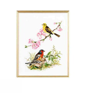 G@[[X^hi Eva Rosenstand j NXXeb` hイ Lbg y  z f}[N k ㋉ A 92-735