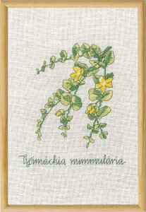 Permin of Copenhageiy~j NXXeb`hイLbg | yLysimachia-IJgmI-z f}[N CO A ㋉  70-1831