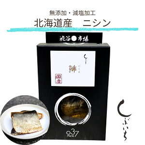 ypLp Y Y  ɂz037kCYjV 3980~ Hsgp aJs Ԃ  q[}O[h ťNT|[g 畆̌NT|[g  ͂ gbs