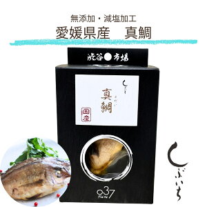 ypLp Y Y  ^z037QY^ 3980~ Hsgp aJs Ԃ t j a q[}O[h  ťNPA  ͂ gbs